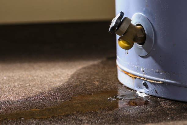 Best Carpet water damage restoration  in La Center, WA