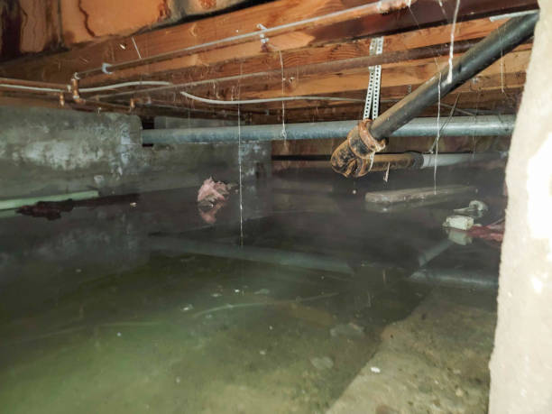 Best Flooded house restoration  in La Center, WA