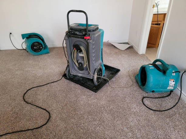 Best Water damage cleanup near me  in La Center, WA