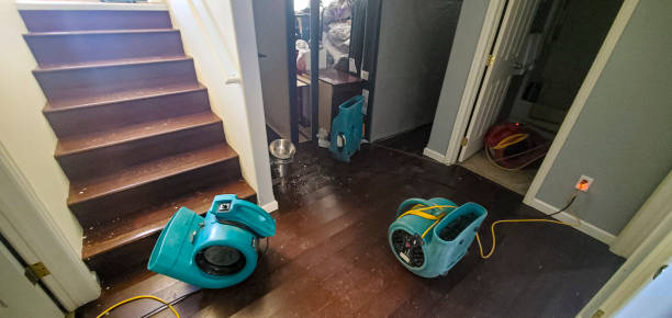 Best Ceiling water damage repair  in La Center, WA