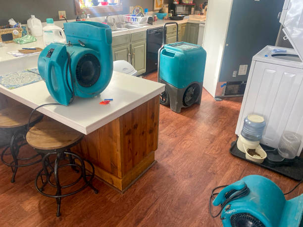 Best Sewage cleanup and water damage restoration  in La Center, WA