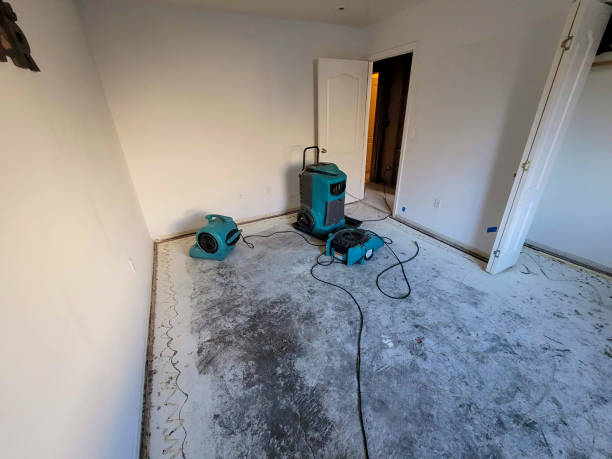 Best Water damage contractors near me  in La Center, WA