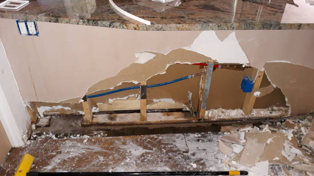 Best Mold removal after water damage  in La Center, WA