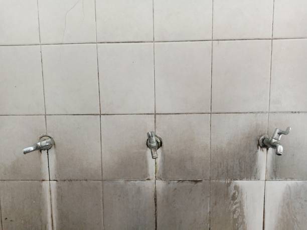Carpet water damage restoration in La Center, WA