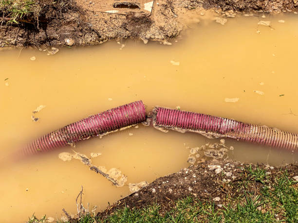 Local water damage restoration in La Center, WA