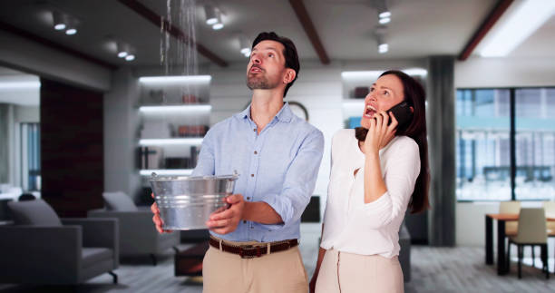 Best Flood damage cleanup  in La Center, WA